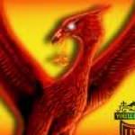 Profile picture of Liverbird44